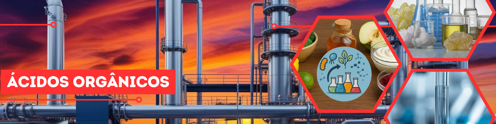 Ácidos Orgânicos
