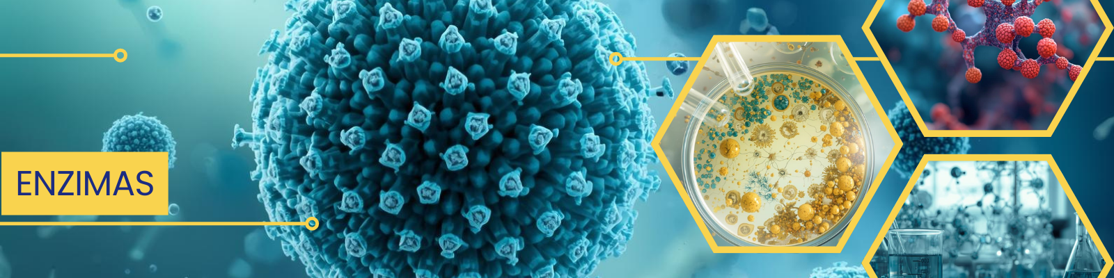 Enzimas